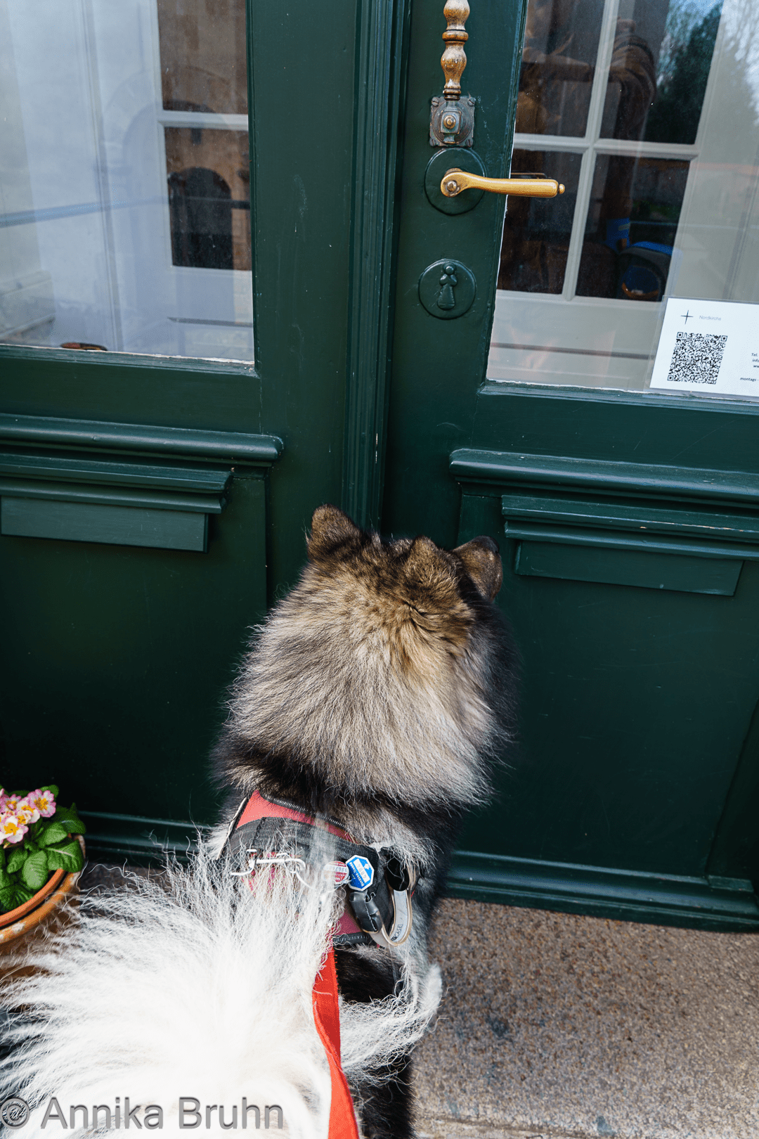 Hallo Opa, mach die Tür auf!